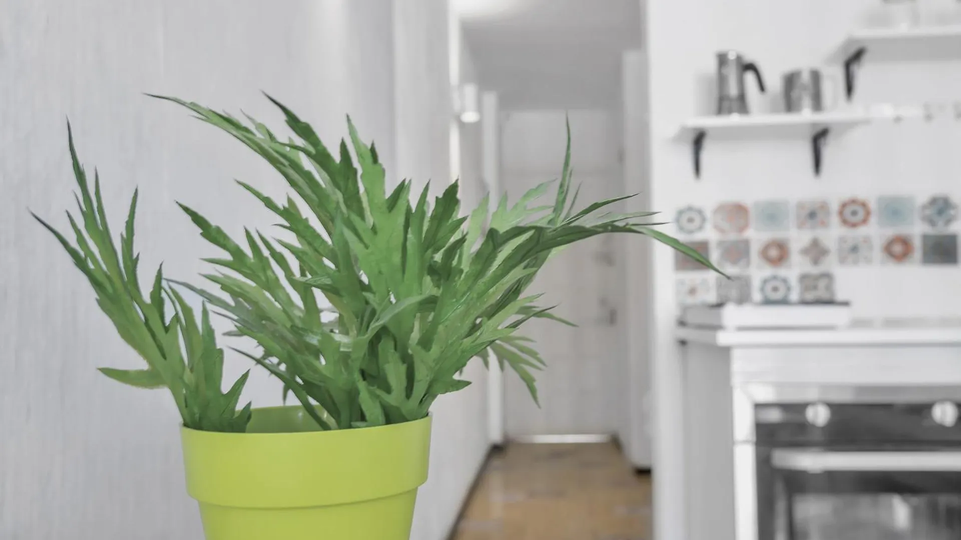 Appartamento Apartamento Con Encanto Maspalomas